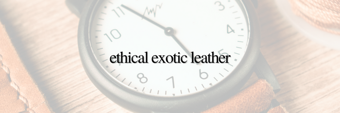 Ethical Exotic Leather