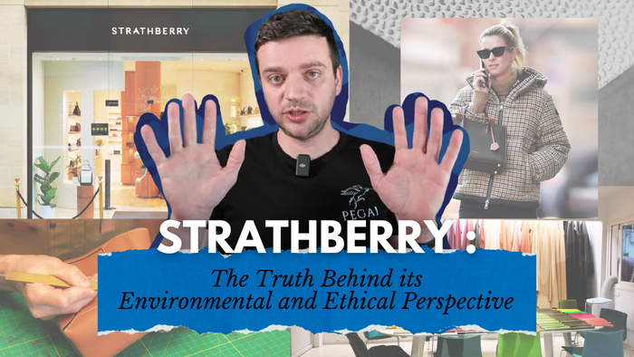 Strathberry Mosaic Nano Bag Review by Tanner Leatherstein